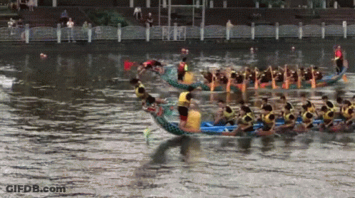 A Group Of People Are Rowing Boats On A Lake GIF