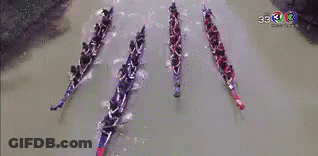 A Group Of People Are Rowing Boats On A River With The Number 33 On The Bottom GIF