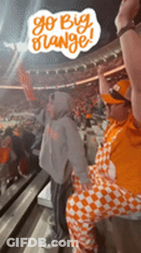 A Group Of People Are Sitting In A Stadium Watching A Football Game And One Of Them Is Wearing Orange Pants . GIF