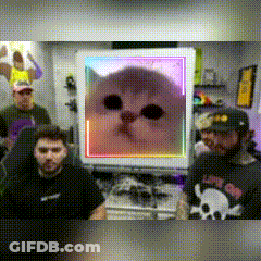 A Group Of People Are Sitting In Front Of A Computer Screen With A Cat On It GIF