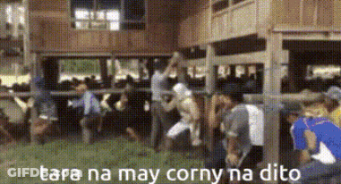 A Group Of People Are Standing In Front Of A Wooden Building With The Words Tara Na May Corny Na Dito On The Bottom GIF
