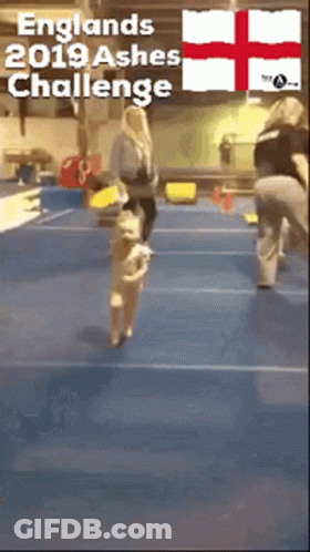 A Group Of People Are Standing On A Blue Floor . GIF