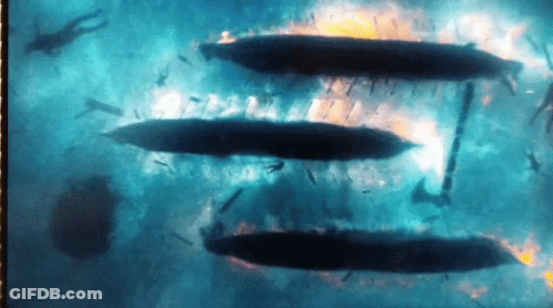 A Group Of People Are Swimming In The Water And Their Silhouettes Are Visible GIF