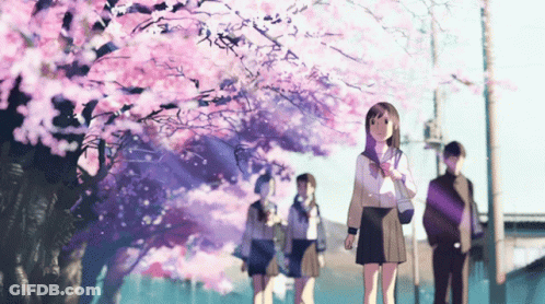A Group Of People Are Walking Down A Street With Cherry Blossom Trees In The Background GIF