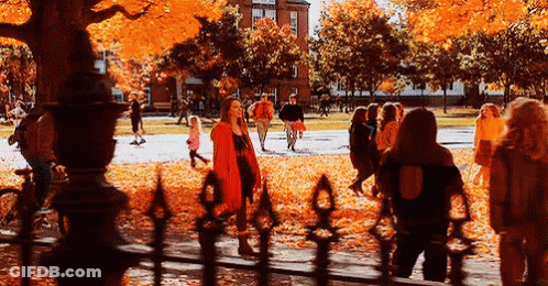 A Group Of People Are Walking In A Park With Trees Covered In Orange Leaves . GIF