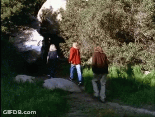 A Group Of People Are Walking In The Woods Near A Rock GIF