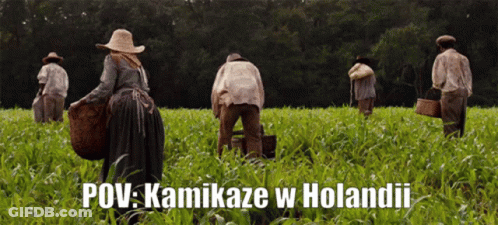 A Group Of People Are Working In A Field With The Words Pov Kamikaze W Holandii Below Them GIF