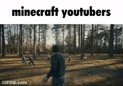 A Group Of People Playing A Game Of Minecraft In A Park GIF