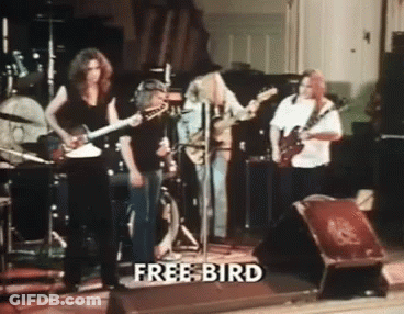 A Group Of People Playing Instruments On A Stage With The Words Free Bird On The Bottom Left GIF