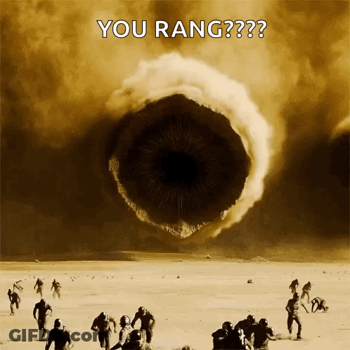 A Group Of People Running In The Desert With The Words " You Rang " On The Bottom GIF