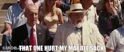 A Group Of People Sitting In A Stadium With The Words That One Hurt My Marble Sack Above Them GIF