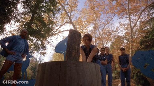 A Group Of People Standing Around A Tree Trunk GIF