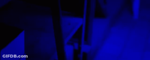 A Group Of People Standing In A Dark Room With Glow In The Dark Paint GIF