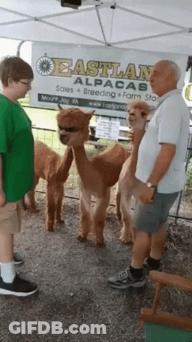 A Group Of People Standing In Front Of A Sign That Says Eastland GIF