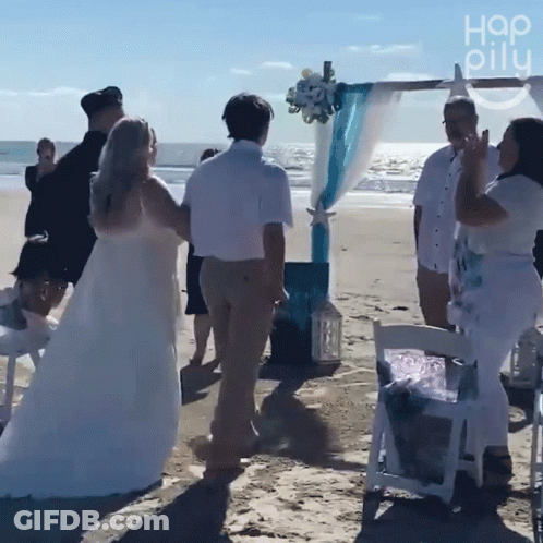A Group Of People Standing On A Beach With A Sign That Says " Hap Oily " GIF