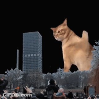 A Group Of People Taking Pictures Of A Giant Cat GIF