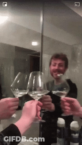 A Group Of People Toasting With Wine Glasses In Front Of A Mirror With A Square In The Corner GIF