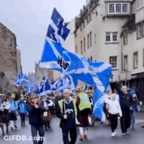 A Group Of People Walking Down A Street Holding Flags . GIF