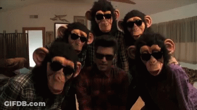 A Group Of People Wearing Monkey Masks And Sunglasses Pose For A Photo GIF