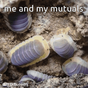 A Group Of Purple And Yellow Worms With The Words Me And My Mutuals Written Above Them GIF