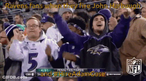 A Group Of Ravens Fans Are Watching A Football Game GIF