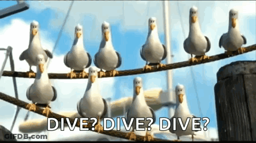 A Group Of Seagulls Are Sitting On A Rope And They Are Asking If They Can Dive . GIF