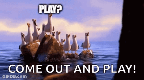 A Group Of Seagulls Are Standing On A Rock In The Ocean With The Words " Play Come Out And Play " Above Them GIF