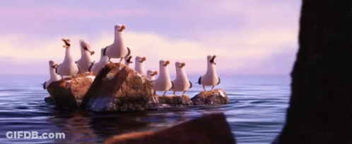 A Group Of Seagulls Are Standing On Rocks In The Ocean GIF