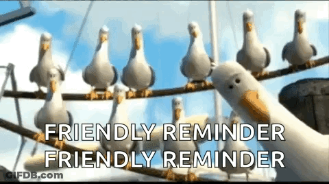 A Group Of Seagulls Sitting On A Wire With The Words `` Friendly Reminder Friendly Reminder '' Above Them . GIF