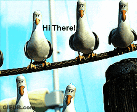 A Group Of Seagulls Sitting On A Wire With The Words Hi There On The Bottom GIF