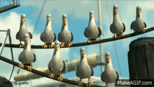 A Group Of Seagulls Standing On A Wire . GIF