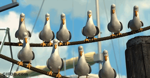 A Group Of Seagulls Standing On A Wire GIF