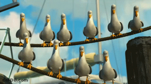 A Group Of Seagulls Standing On A Wire GIF