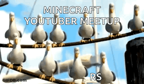 A Group Of Seagulls Standing On A Wire With The Words Minecraft Youtuber Meetup Rs GIF