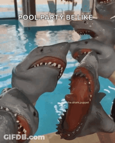A Group Of Shark Puppet Heads Are Standing Next To Each Other In A Pool With The Caption Pool Party Be Like GIF