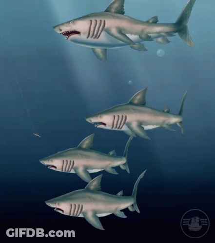 A Group Of Sharks Are Swimming In The Ocean With A Logo That Says Sharks GIF