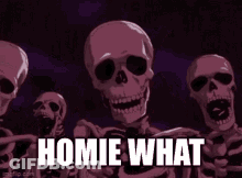 A Group Of Skeletons Are Standing Next To Each Other With The Words " Homie What " Written On Them . GIF