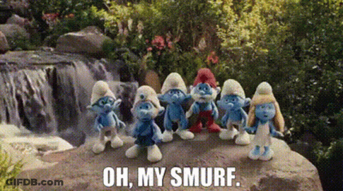 A Group Of Smurfs Are Standing On A Rock In Front Of A Waterfall With The Words Oh My Smurf . GIF