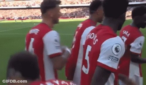 A Group Of Soccer Players Are Standing In A Line On A Field . GIF
