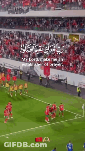 A Group Of Soccer Players Are Standing On A Field With A Crowd Watching . GIF