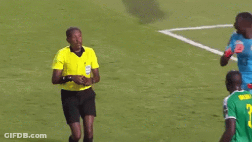 A Group Of Soccer Players Are Standing On A Soccer Field . GIF