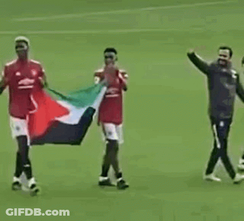 A Group Of Soccer Players Are Walking On A Field Holding A Flag . GIF