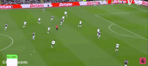 A Group Of Soccer Players On A Field With A Flag That Says Efc On It GIF