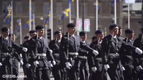 A Group Of Soldiers Marching In A Parade With A Crown On Their Uniforms GIF