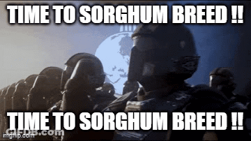 A Group Of Soldiers Saluting With The Caption Time To Sorghum Breed ! GIF