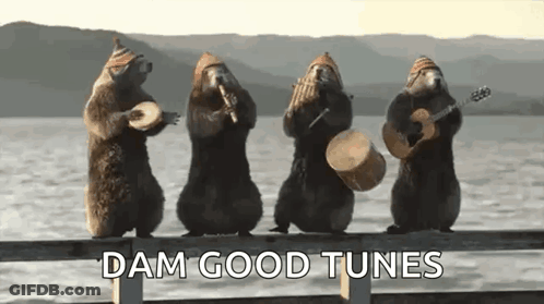A Group Of Squirrels Are Playing Musical Instruments On A Dock . GIF