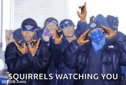 A Group Of Squirrels Watching You With Their Hands Up GIF