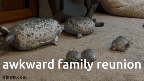 A Group Of Stuffed Seals Are Laying On A Carpet With The Words Awkward Family Reunion Below Them GIF