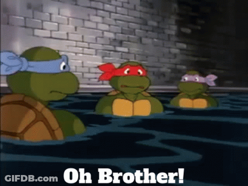 A Group Of Teenage Mutant Ninja Turtles Are Swimming In The Water With The Caption Oh Brother GIF