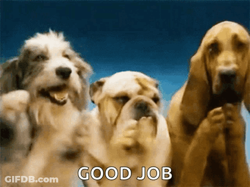 A Group Of Three Dogs Standing Next To Each Other With The Words Good Job Written On The Bottom GIF